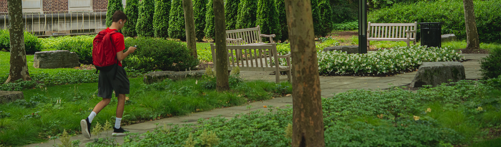 Student walk by a rock garden